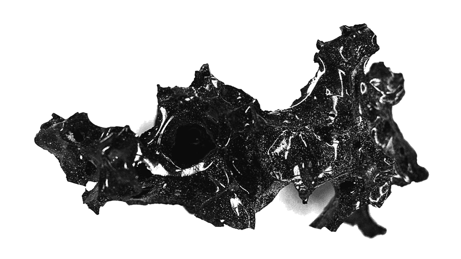 Vitrified human brain